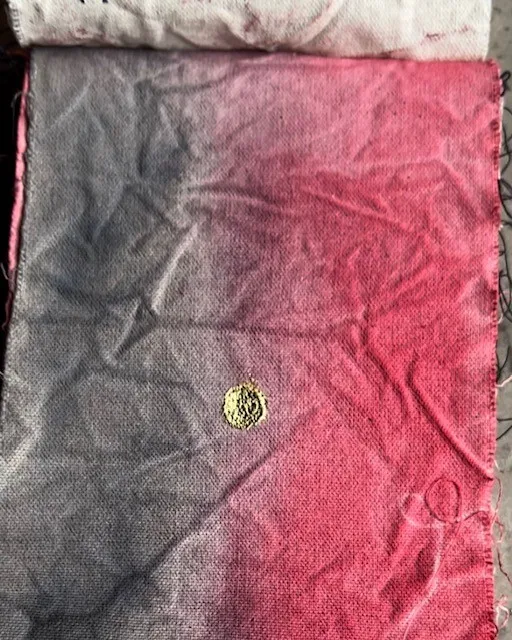 Embajadora 4