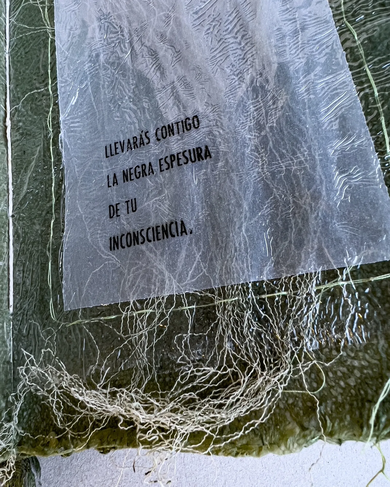 Manifestus 7